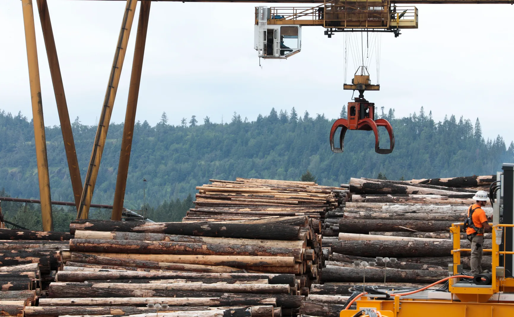 Trump Administration to Open Undeveloped Forests to Mining, Logging