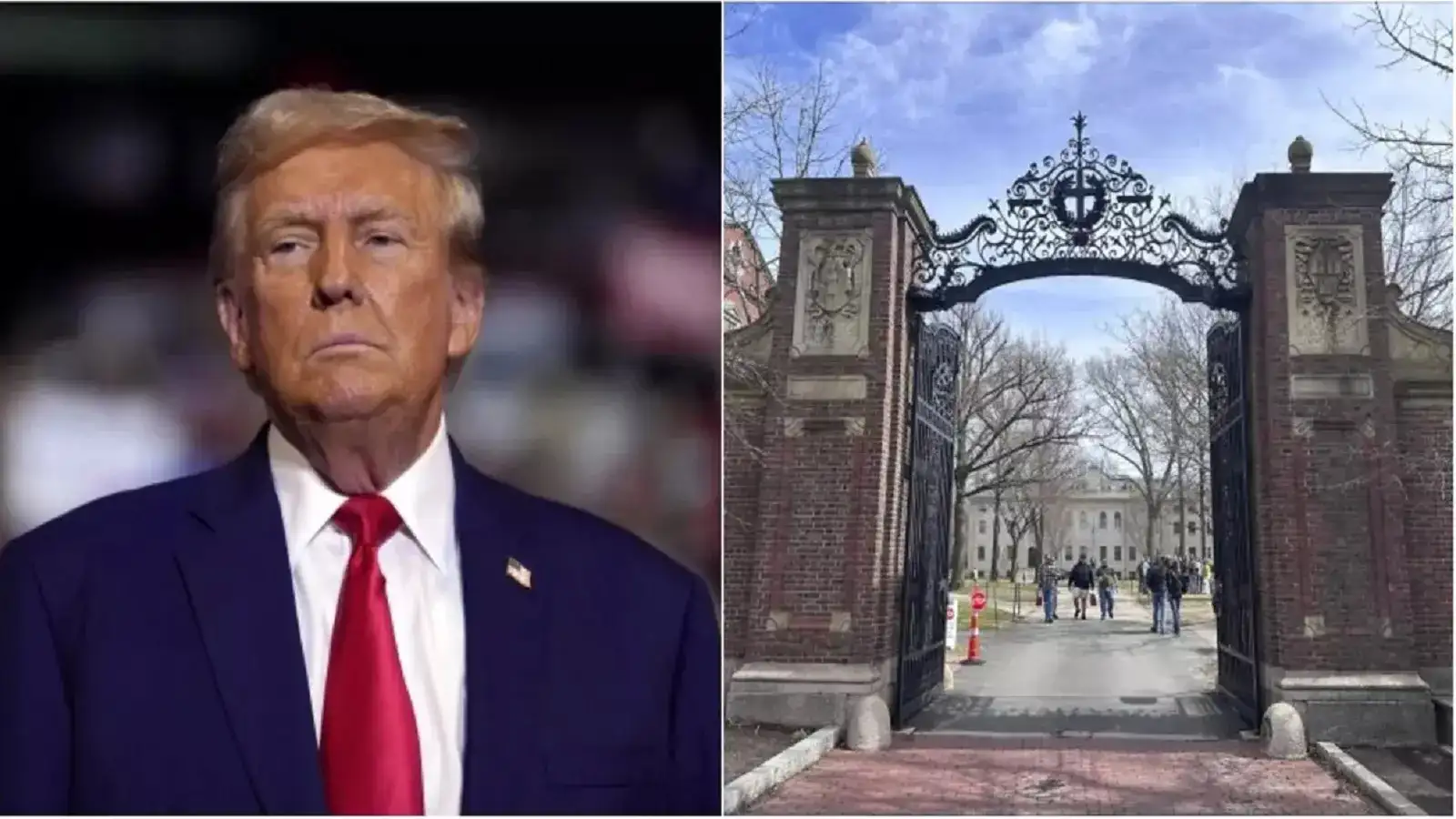 Harvard to Comply With Trump Administration Demand to Turn Over Employment Forms